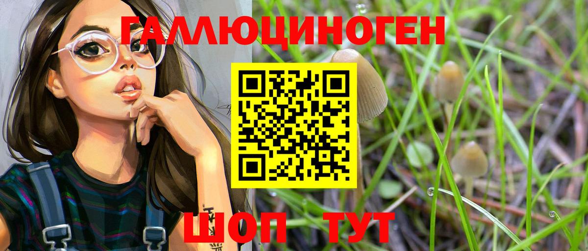 Галлюциногенные грибы Psilocybine cubensis  где найти наркотики  Гулькевичи  Вход с VPN 