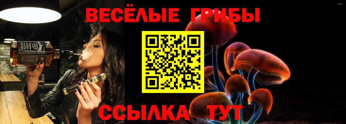 Псилоцибиновые грибы MAGIC MUSHROOMS Гулькевичи